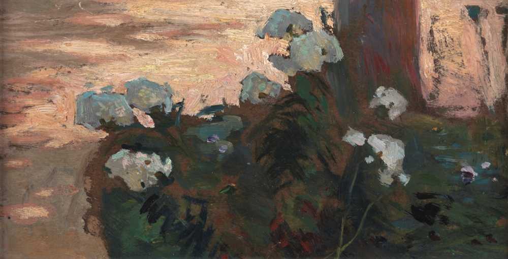 White Phloxes (1905) - Jan Stanisławski