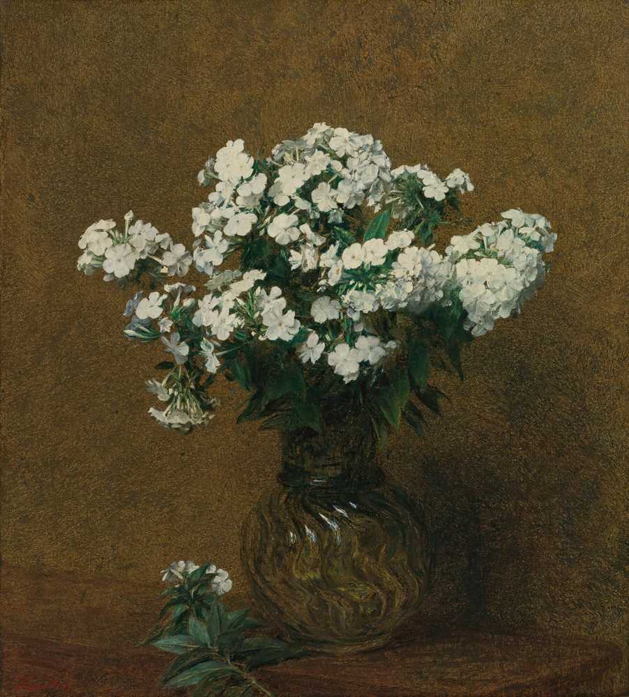 White Phloxes In A Vase (1892) - Henri Fantin-Latour