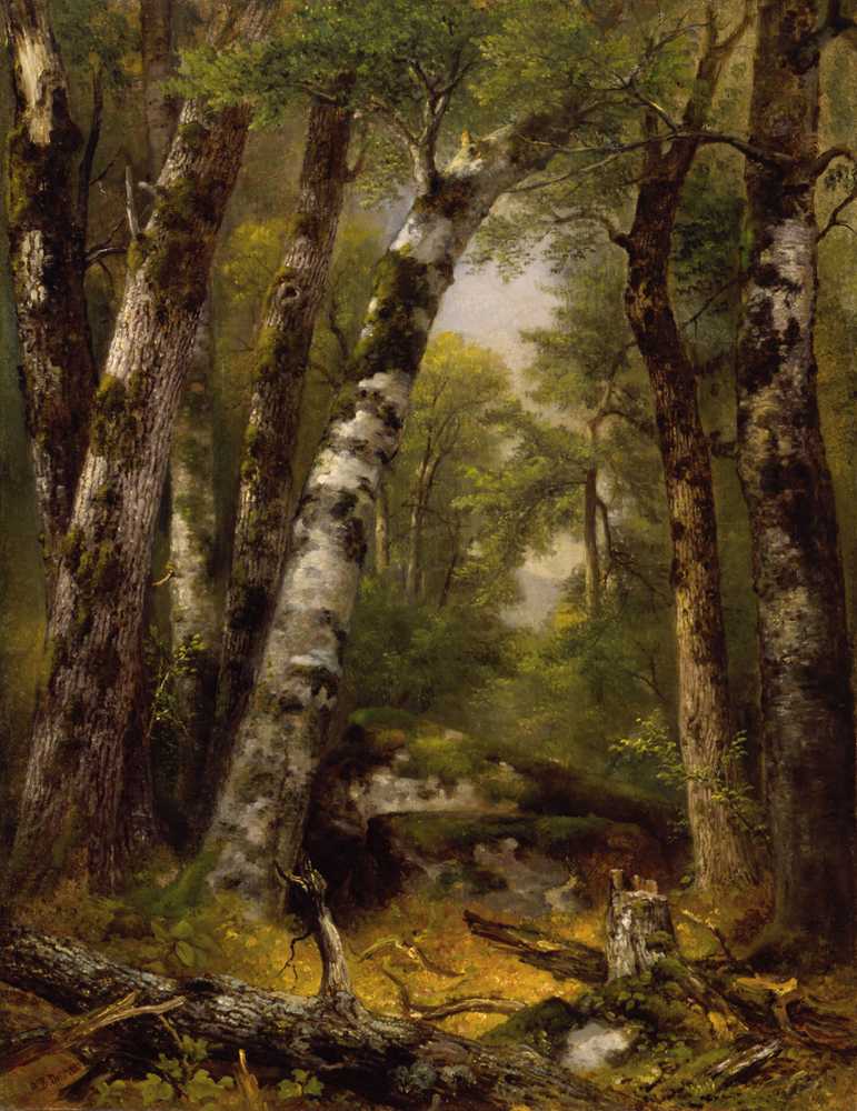 Woodland Glen (ca. 1850-1855) - Asher Brown Durand