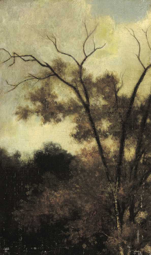 Woodland Landscape (1850) - Charles-Francois Daubigny