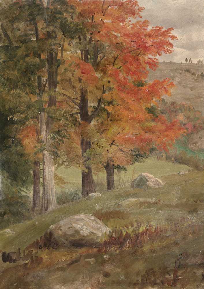 Woods in autumn (1865) - Frederick Edwin Church